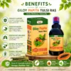Giloy Papita Tulsi Ras